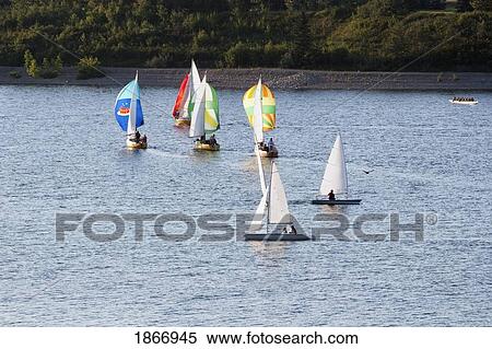 Calgary, Alberta, Canada; Sailboats On The Glenmore Reservoir View Large Photo Image Stock Photography - Calgary, Alberta, Canada; Sailboats On The Glenmore Reservoir. Fotosearch
