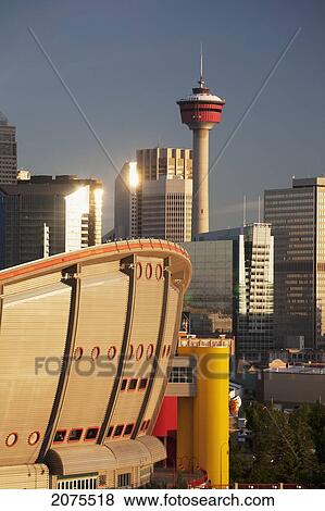 Calgary Saddledome With The Calgary Tower And Buildings In Background Reflecting Light At Sunrise; Calgary Alberta Canada View Large Photo Image Stock Photo - Calgary Saddledome With The Calgary Tower And Buildings In Background Reflecting Light At Sunrise; Calgary Alberta Canada. Fotosearch
