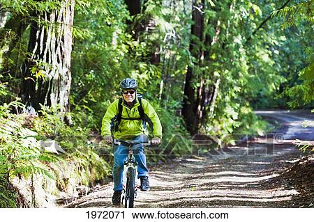 California, Big Basin Redwoods State Park, Man Biking On Trail In Woods. View Large Photo Image Stock Image - California, Big Basin Redwoods State Park, Man Biking On Trail In Woods.. Fotosearch