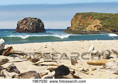 Stock Image - California, Big Sur, Andrew Molera Beach With Driftwood In Foreground. Fotosearch