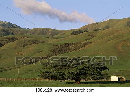 Stock Photo - California, Big Sur Coast, Country Farm, Green Hills In Background.. Fotosearch
