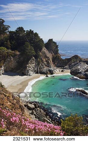 Stock Image - California, Big Sur, Julia Pfeiffer Burns State Park, View Of Mcway Falls, Lush Foliage And Pink Flowers In Foreground.. Fotosearch
