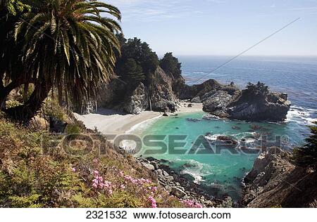 California, Big Sur, Julia Pfeiffer Burns State Park, View Of Mcway Falls, Lush Foliage In Foreground. View Large Photo Image Stock Image - California, Big Sur, Julia Pfeiffer Burns State Park, View Of Mcway Falls, Lush Foliage In Foreground.. Fotosearch