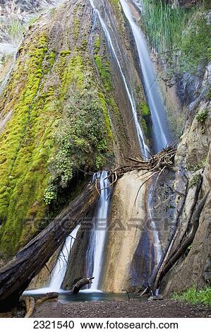 Stock Image - California, Big Sur, Limekiln State Park, Waterfalls And Lush Foliage.. Fotosearch