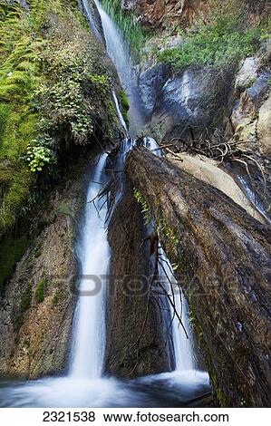 California, Big Sur, Limekiln State Park, Waterfalls And Lush Foliage, Log In Foreground. View Large Photo Image Stock Photo - California, Big Sur, Limekiln State Park, Waterfalls And Lush Foliage, Log In Foreground.. Fotosearch