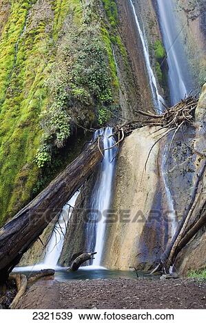 California, Big Sur, Limekiln State Park, Waterfalls And Lush Foliage. View Large Photo Image Stock Photo - California, Big Sur, Limekiln State Park, Waterfalls And Lush Foliage.. Fotosearch