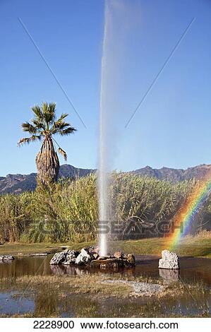 Stock Image - California, Calistoga, A View Of Old Faithful Geyser With Rainbow. Fotosearch