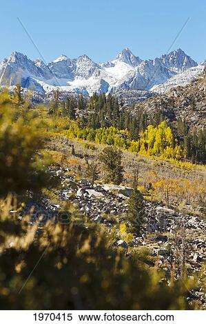 Stock Photography - California, Eastern Sierras, Beautiful Mountain Range With Vibrant Aspen Trees. Fotosearch