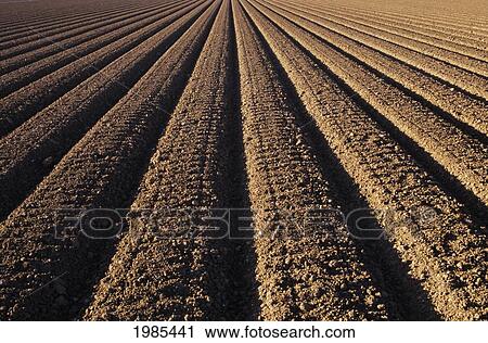 California, Field Of Plowed Soil Ready For Planting. View Large Photo Image Stock Image - California, Field Of Plowed Soil Ready For Planting.. Fotosearch