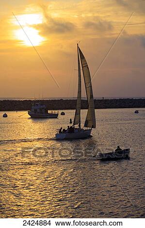Picture - California, King Harbor, Sailboats at sunset in Redondo Beach.. Fotosearch