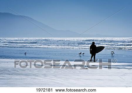 California, Morro Bay, Silhouette Of Surfer On Beach. View Large Photo Image Stock Image - California, Morro Bay, Silhouette Of Surfer On Beach.. Fotosearch
