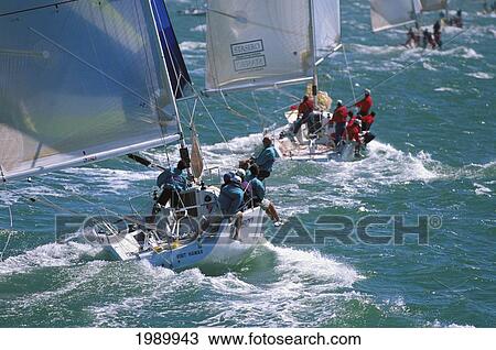 California, San Francisco, 96 Big Boat Race, Line Of Yachts, Sail Toward Finish Line View Large Photo Image Stock Image - California, San Francisco, 96 Big Boat Race, Line Of Yachts, Sail Toward Finish Line. Fotosearch