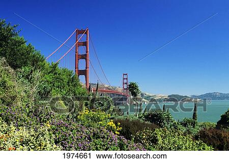 California, San Francisco, Golden Gate Bridge From San Francisco Bay Side. View Large Photo Image Stock Image - California, San Francisco, Golden Gate Bridge From San Francisco Bay Side.. Fotosearch