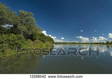 Calm waters of the Shire River beside Mvuu Camp, Liwonde National Park; Malawi View Large Photo Image Stock Image - Calm waters of the Shire River beside Mvuu Camp, Liwonde National Park; Malawi. Fotosearch