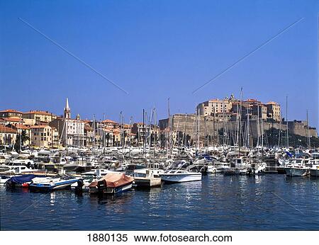 Calvi Harbour And Citadel View Large Photo Image Stock Photography - Calvi Harbour And Citadel. Fotosearch