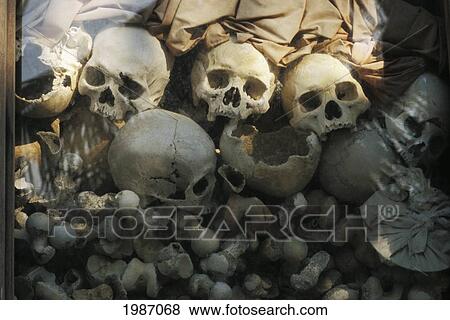 Cambodia, Skulls in glass display on civil war killing fields memorial; Siem Reap View Large Photo Image Stock Photo - Cambodia, Skulls in glass display on civil war killing fields memorial; Siem Reap. Fotosearch
