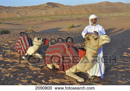 Camel And Guide In Liwa Desert Dunes, Abu Dhabi View Large Photo Image Stock Image - Camel And Guide In Liwa Desert Dunes, Abu Dhabi. Fotosearch