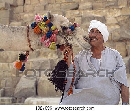 Camel And Owner By Pyramid Of Cheops View Large Photo Image Stock Photograph - Camel And Owner By Pyramid Of Cheops. Fotosearch
