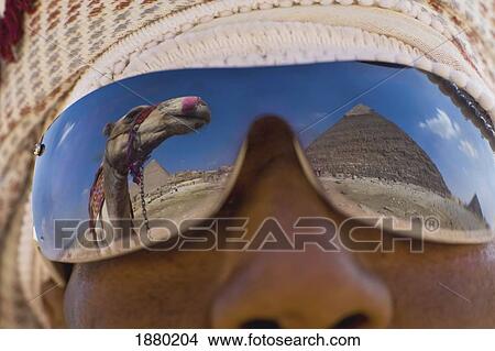 Picture - Camel And Pyramids Reflecting In Local Man's Sunglasses. Fotosearch