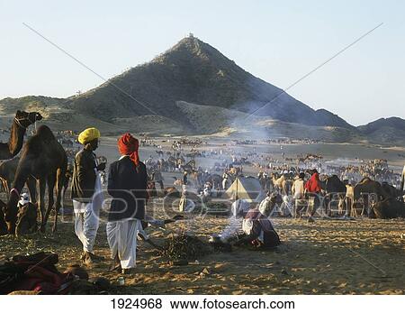 Camel Fair View Large Photo Image Stock Photo - Camel Fair. Fotosearch