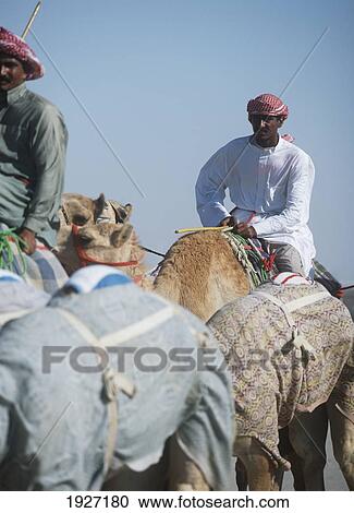 Camel Herders View Large Photo Image Stock Image - Camel Herders. Fotosearch