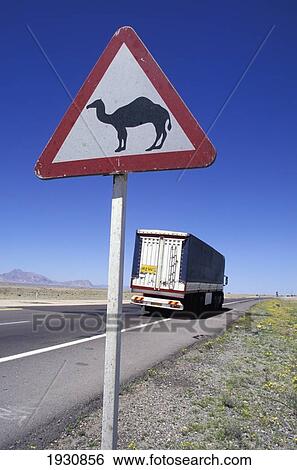 Camel Roadsign And Truck, Near Isfahan, Iran; Iran View Large Photo Image Stock Photograph - Camel Roadsign And Truck, Near Isfahan, Iran; Iran. Fotosearch