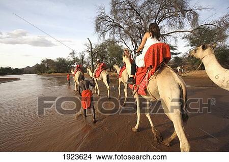 Picture - Camel Safari Along River. Fotosearch