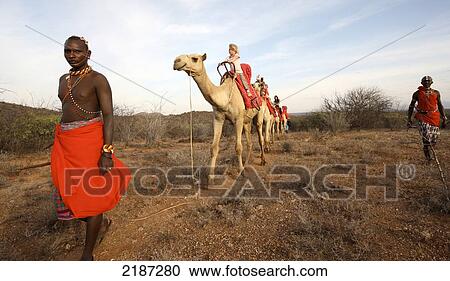 Camel safari in Samburuland; Samburu, Kenya View Large Photo Image Stock Image - Camel safari in Samburuland; Samburu, Kenya. Fotosearch