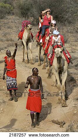 Camel safari in Samburuland; Samburu, Kenya View Large Photo Image Stock Photo - Camel safari in Samburuland; Samburu, Kenya. Fotosearch