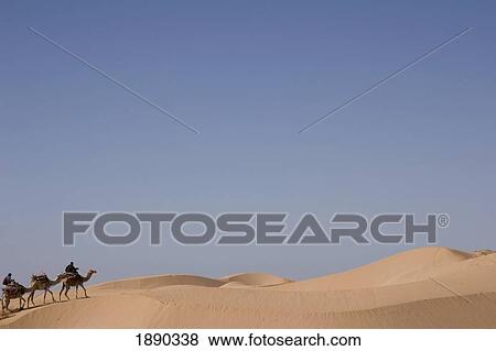 Camel Trek On Sand Dunes View Large Photo Image Stock Photo - Camel Trek On Sand Dunes. Fotosearch
