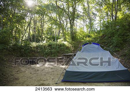 Stock Image - Campsite with tent and fire pit; Massachusetts, United States of America. Fotosearch