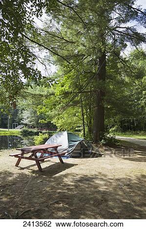 Stock Image - Campsite with tent and picnic table; New Hampshire, United States of America. Fotosearch