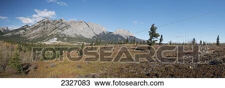 Canada, Landscape of rugged mountains and forest in Banff National Park; Alberta View Large Photo Image Stock Image - Canada, Landscape of rugged mountains and forest in Banff National Park; Alberta. Fotosearch