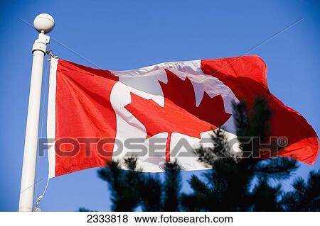 Stock Photo - Canadian Flag, Vancouver Waterfront, Harbor; Vancouver, British Columbia, Canada. Fotosearch
