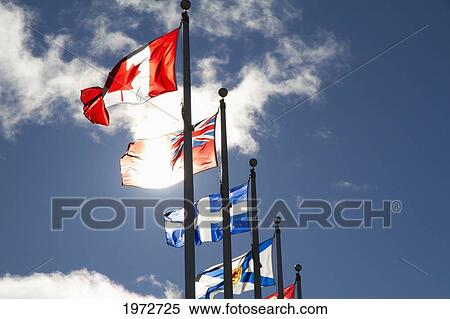 Canadian Flags By The Canadian War Museum, Ottawa, Ontario, Canada View Large Photo Image Stock Photography - Canadian Flags By The Canadian War Museum, Ottawa, Ontario, Canada. Fotosearch