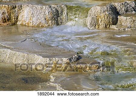 Picture - Canary Spring. Fotosearch