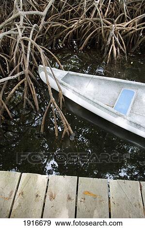 Stock Photo - Canoe And Mangroves. Fotosearch