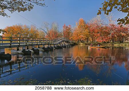 Canoeists Paddle Under Pontoon Bridge On Mersey River Past Red & Sugar Maples At Jakes Landing, Kejimkujik Np, Nova Scotia, Canada. No Model Release View Large Photo Image Stock Photo - Canoeists Paddle Under Pontoon Bridge On Mersey River Past Red & Sugar Maples At Jakes Landing, Kejimkujik Np, Nova Scotia, Canada. No Model Release. Fotosearch
