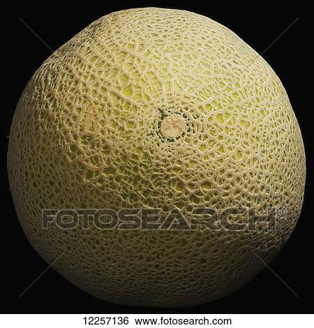 Stock Photograph - Cantaloupe on black background. Fotosearch