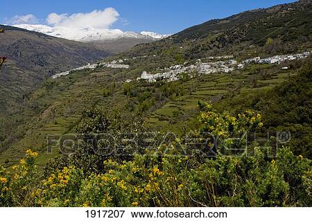 Capileira Landscape View Large Photo Image Stock Photo - Capileira Landscape. Fotosearch