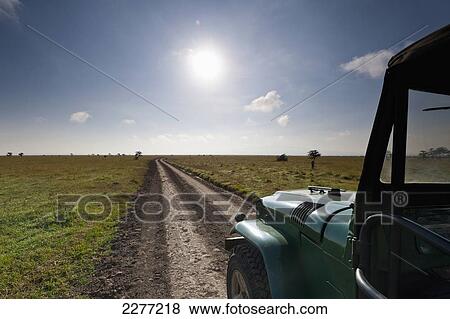 Stock Photo - Car on dirt road through Ol Pejeta Conservancy; Kenya. Fotosearch