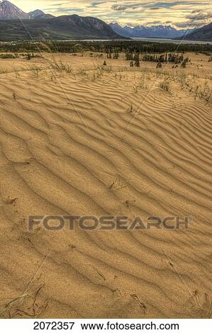 Carcross Desert With Bennett Lake In The Distance, Carcross, Yukon, Canada View Large Photo Image Stock Photo - Carcross Desert With Bennett Lake In The Distance, Carcross, Yukon, Canada. Fotosearch
