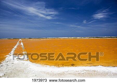 Caribbean, Bonaire, Salt Pan Near Lac Bay; Netherlands Antilles View Large Photo Image Stock Image - Caribbean, Bonaire, Salt Pan Near Lac Bay; Netherlands Antilles. Fotosearch