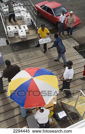 Stock Photography - Caribbean, Carriacou and Petite Martinique Ferry; Grenada, Grenada, Passengers and food supplies being checked onboard Osprey Express. Fotosearch