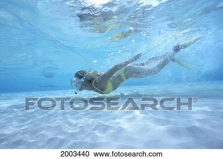 Caribbean, Cayman Islands, Side View Of Woman Snorkeler Underwater In Shallow Turquoise Ocean, Sandy Bottom View Large Photo Image Stock Image - Caribbean, Cayman Islands, Side View Of Woman Snorkeler Underwater In Shallow Turquoise Ocean, Sandy Bottom. Fotosearch