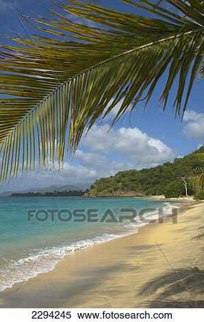 Stock Photography - Caribbean, Dr Groom's Beach; Grenada. Fotosearch