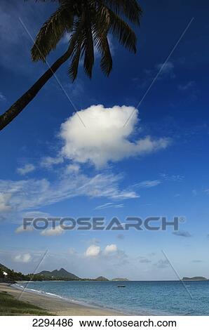 Caribbean, Grenada, Grenadines, Hillsborough beach; Carriacou Island View Large Photo Image Stock Photograph - Caribbean, Grenada, Grenadines, Hillsborough beach; Carriacou Island. Fotosearch