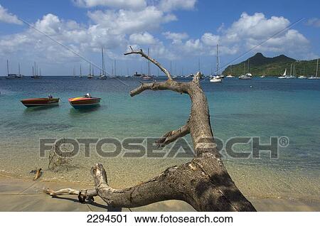 Caribbean, Grenada, Grenadines, View of Tyrrel Bay; Carriacou Island View Large Photo Image Stock Image - Caribbean, Grenada, Grenadines, View of Tyrrel Bay; Carriacou Island. Fotosearch