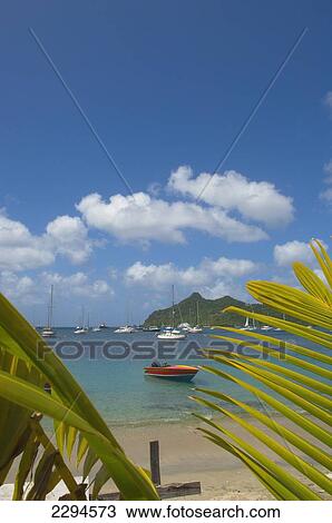 Caribbean, Grenada, Grenadines, View of Tyrrel Bay; Carriacou Island View Large Photo Image Stock Image - Caribbean, Grenada, Grenadines, View of Tyrrel Bay; Carriacou Island. Fotosearch