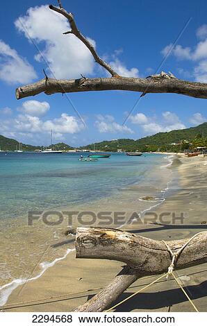 Caribbean, Grenada, Grenadines, View of Tyrrel Bay; Carriacou Island View Large Photo Image Stock Photo - Caribbean, Grenada, Grenadines, View of Tyrrel Bay; Carriacou Island. Fotosearch